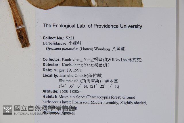 八角蓮藏品圖，第2張