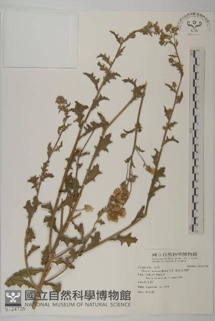 登錄號:S124736藏品圖，第3張