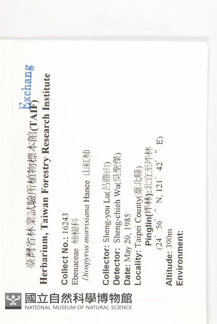 山紅柿藏品圖，第2張