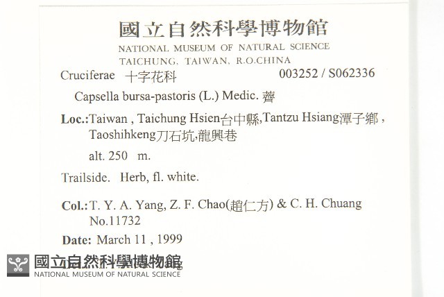 薺藏品圖，第2張