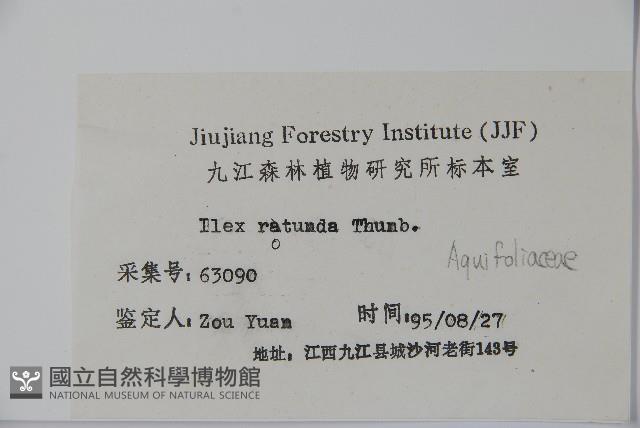 鐵冬青藏品圖，第2張