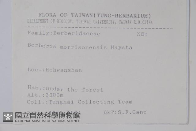 玉山小蘗藏品圖，第2張