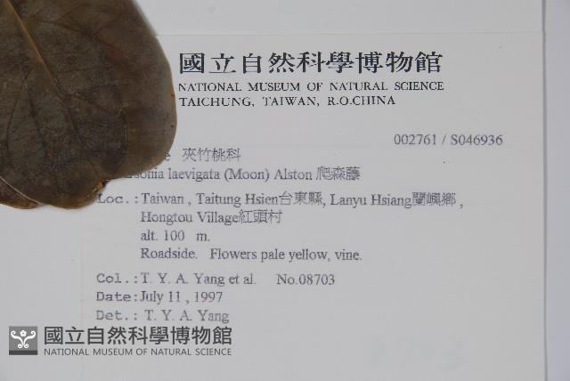 爬森藤藏品圖，第2張