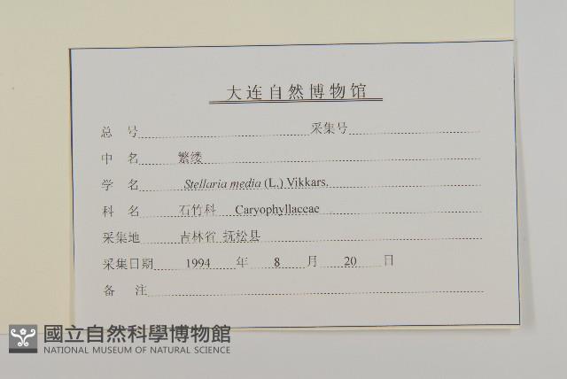 繁縷藏品圖，第3張