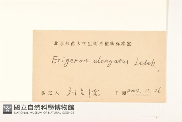 長莖非蓬藏品圖，第3張