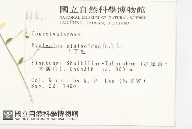 土丁桂藏品圖，第2張