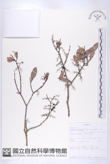 登錄號:S093466藏品圖，第3張
