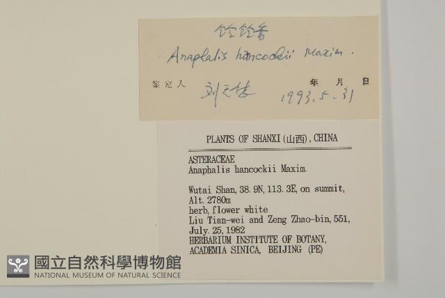 零零香藏品圖，第3張