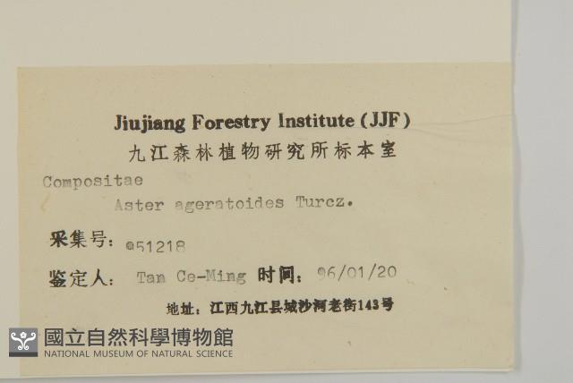 山白蘭藏品圖，第3張