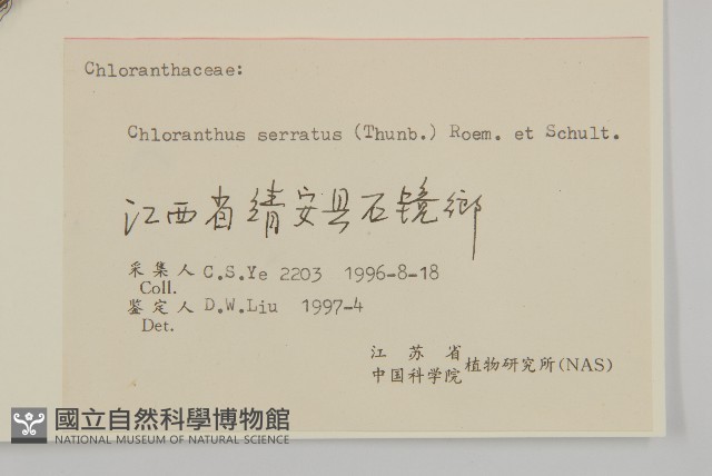 及己藏品圖，第3張