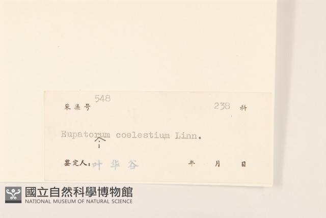 破坏草藏品圖，第3張
