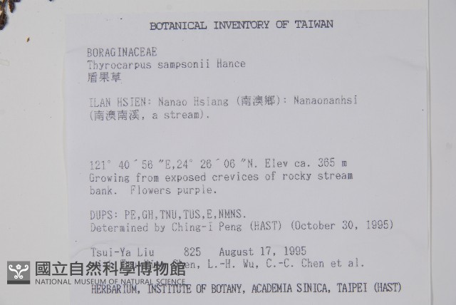 盾果草藏品圖，第2張