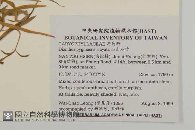 玉山石竹藏品圖，第2張