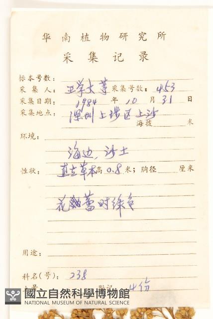 Indian pluchea Collection Image, Figure 2, Total 3 Figures