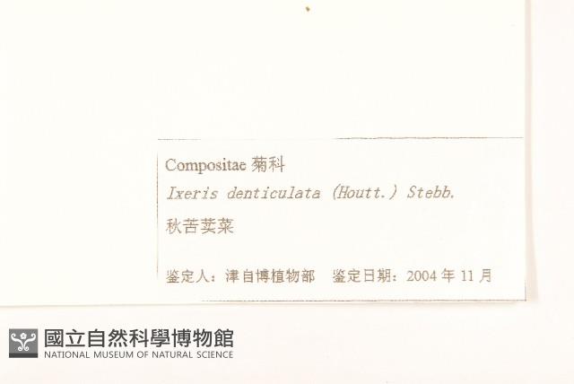 苦實菜藏品圖，第3張