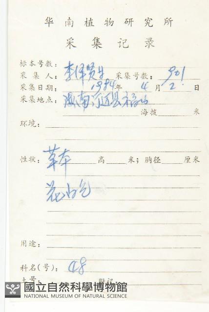 長葉茅膏菜藏品圖，第2張