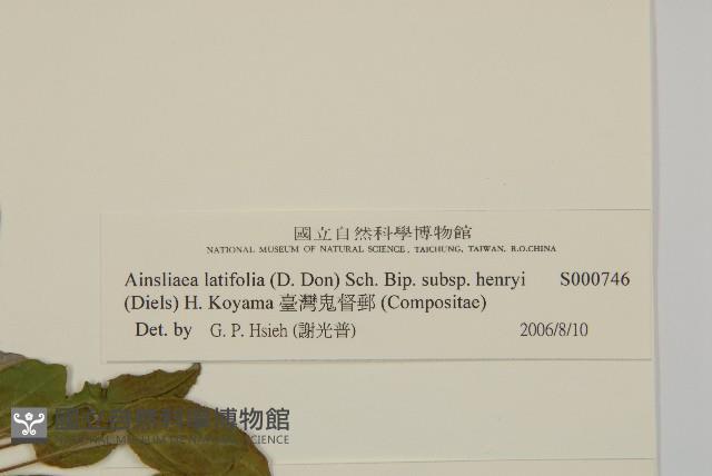 臺灣鬼督郵藏品圖，第3張