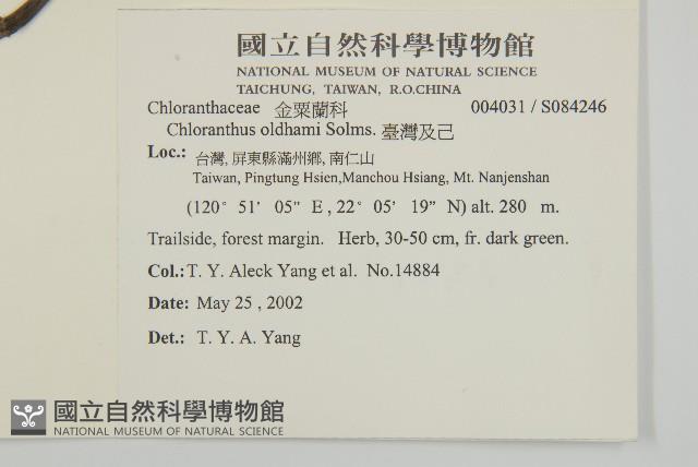 臺灣及己藏品圖，第2張