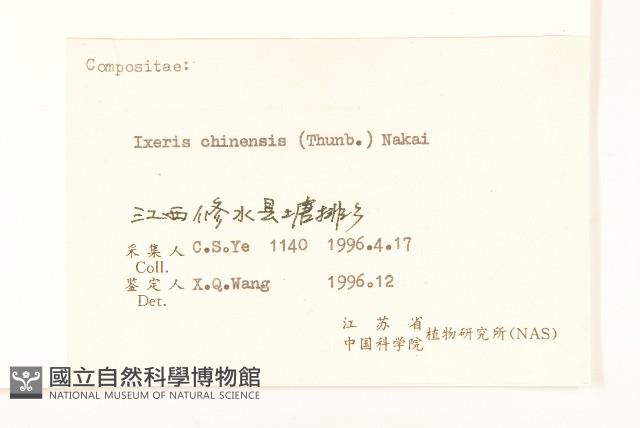 兔仔菜藏品圖，第3張