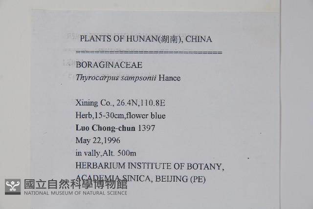 盾果草藏品圖，第2張