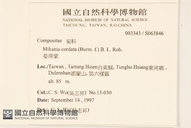 蔓澤蘭藏品圖，第2張