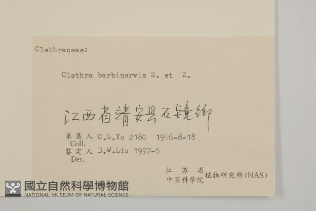 華東山柳藏品圖，第3張