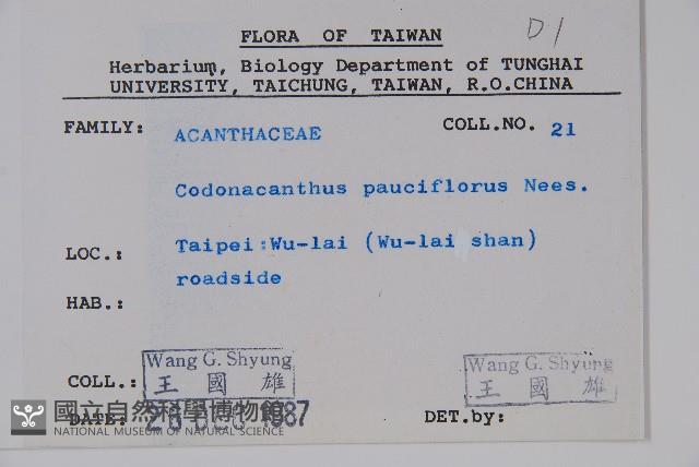 針刺草藏品圖，第2張