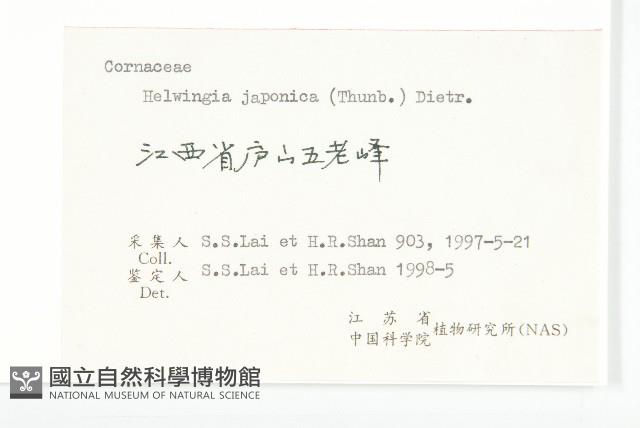 青莢葉藏品圖，第3張