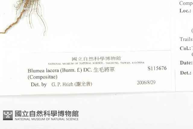 生毛將軍藏品圖，第3張