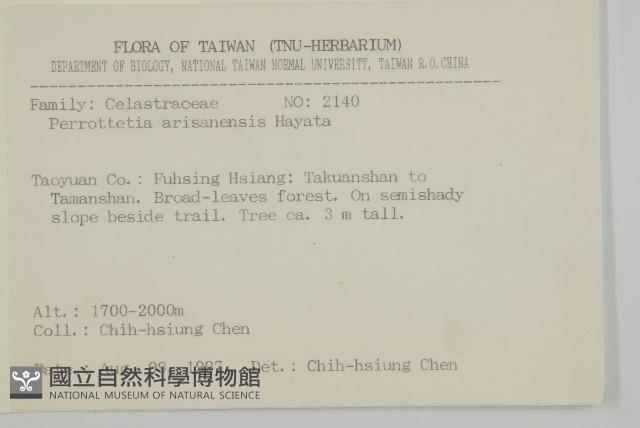 佩羅特木藏品圖，第2張