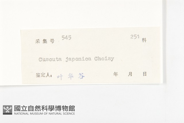 日本菟絲子藏品圖，第3張
