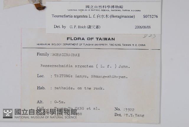 白水木藏品圖，第2張