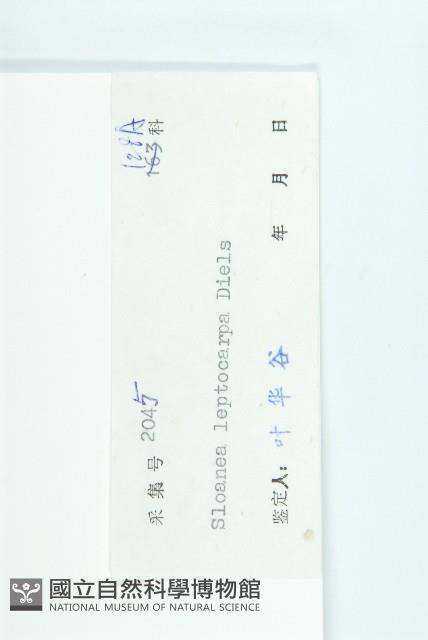 薄果猴歡喜藏品圖，第3張