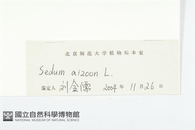 費菜藏品圖，第3張