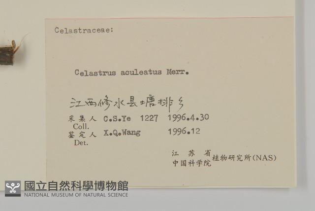 過山楓藏品圖，第3張