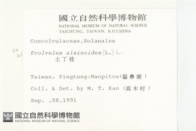 土丁桂藏品圖，第2張