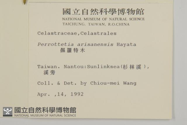 佩羅特木藏品圖，第2張