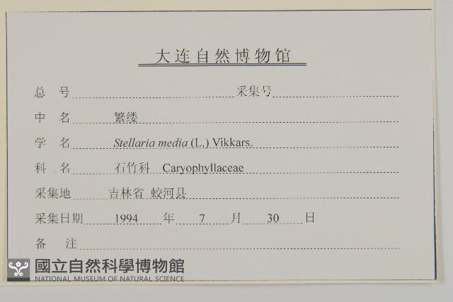 繁縷藏品圖，第3張