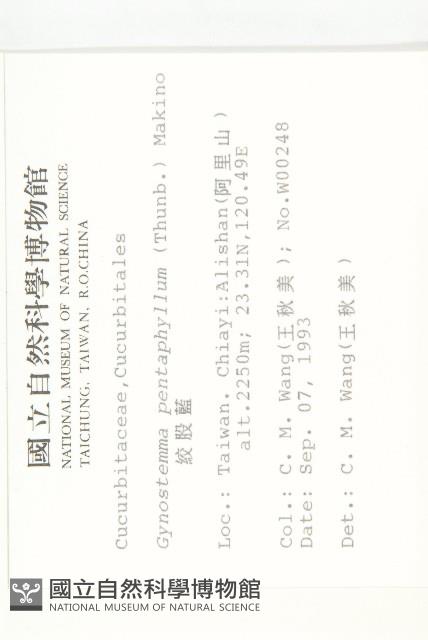 絞股藍藏品圖，第2張