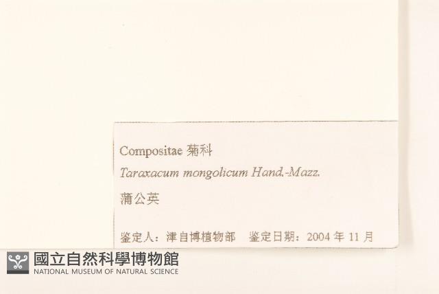 蒲公英藏品圖，第3張