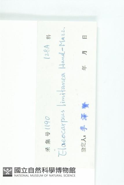 灰毛杜藏品圖，第3張