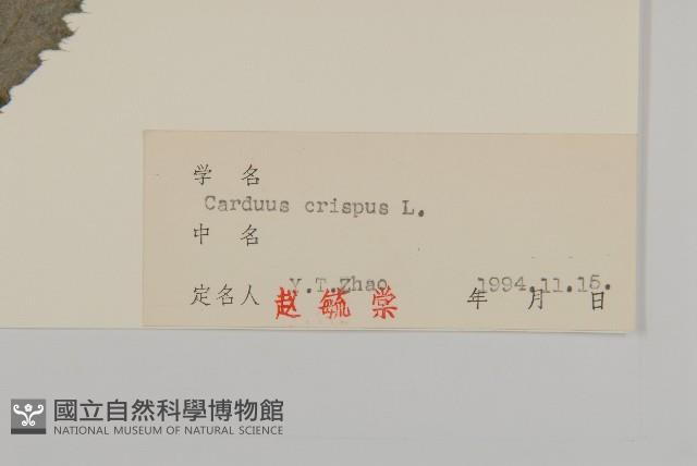 飛廉藏品圖，第3張