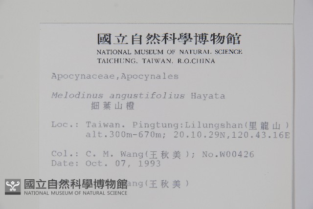 山橙藏品圖，第2張
