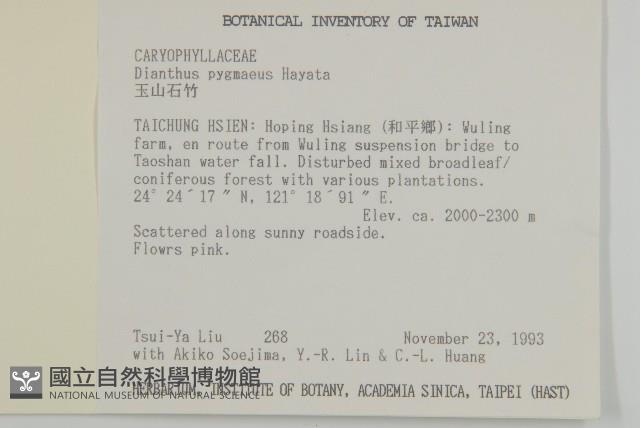 玉山石竹藏品圖，第2張