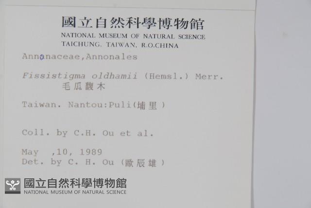 瓜馥木藏品圖，第2張