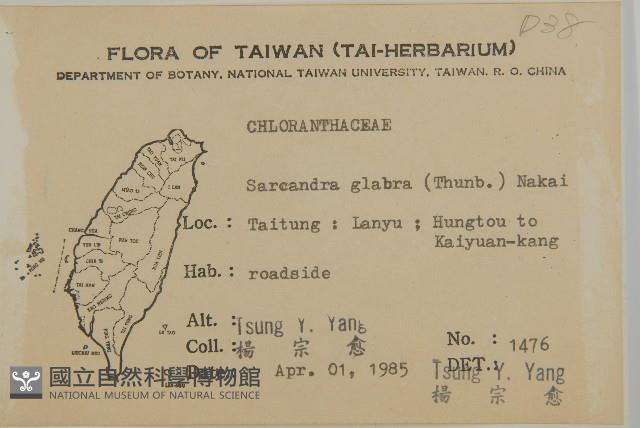 草珊瑚、紅果金粟蘭藏品圖，第2張