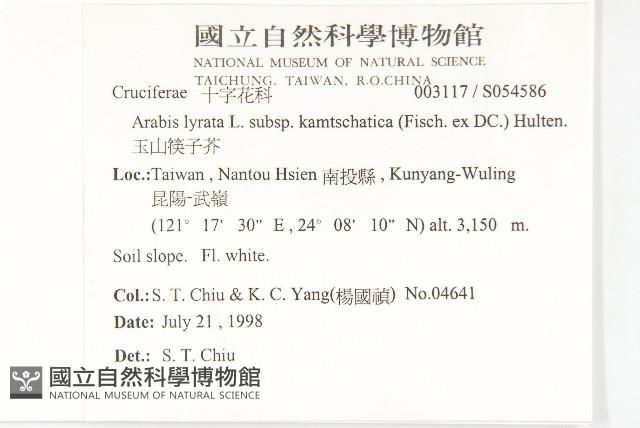 玉山筷子芥藏品圖，第2張