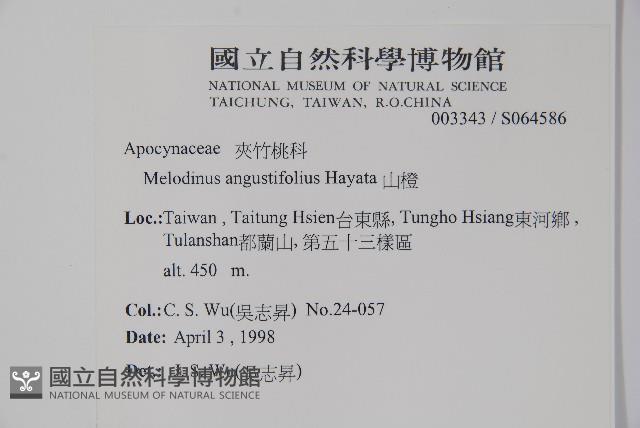 山橙藏品圖，第2張