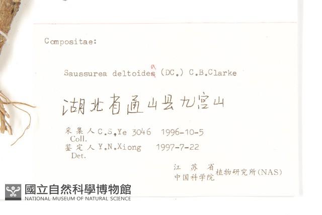 臺灣青木香藏品圖，第3張