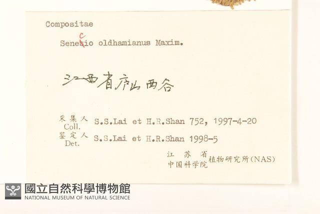 蒲兒根藏品圖，第3張